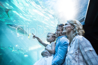 Familly looking at fish tank