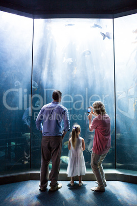 Mother taking photo of fish while daughter and father looking at