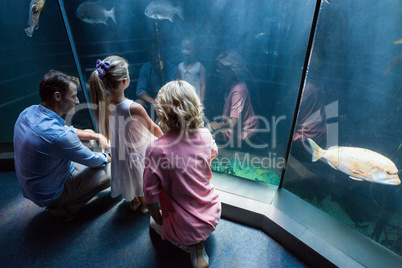 Familly looking at fish tank