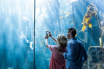 Couple taking photo of fish in the tank