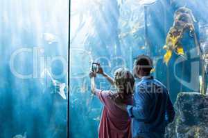Couple taking photo of fish in the tank