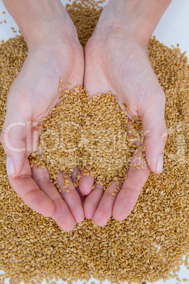 Hands holding seeds