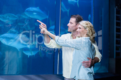 Happy couple pointing a fish tank