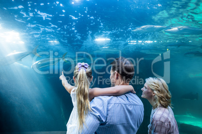 Familly looking at fish tank