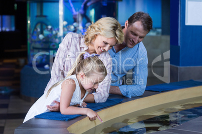 Happy family looking at manta ray