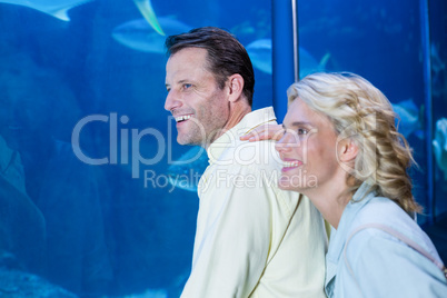 Happy couple looking at fish tank