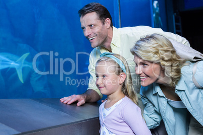 Happy family looking at the fish tank