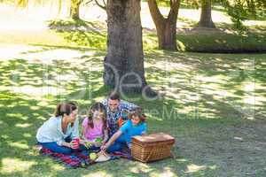 Happy family on a picnic in the park