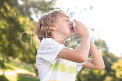 Little boy blowing his nose