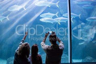 Happy family looking at the fish tank