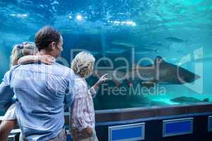 Wear view of family looking at shark in a tank