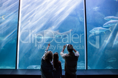 Happy family looking at the fish tank