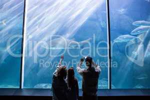 Happy family looking at the fish tank