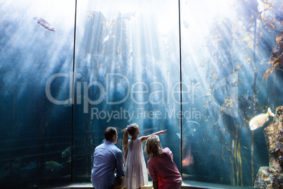 Daughter pointing a fish while her mother and father looking at