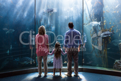 Family looking  at fish tank