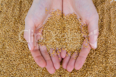 Hands holding seeds