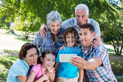 Extended family taking a selfie in the park