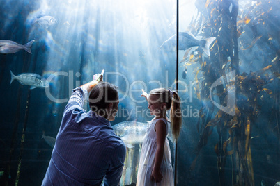 Father and daughter pointing a fish in the tank