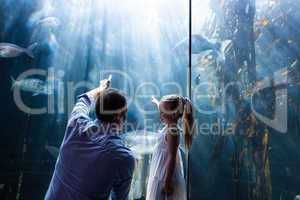 Father and daughter pointing a fish in the tank