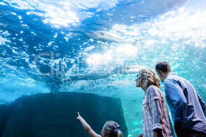 Familly looking at fish tank