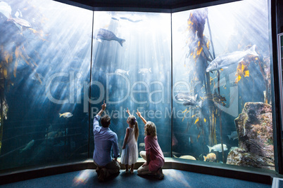 Family pointing a fish in the tank