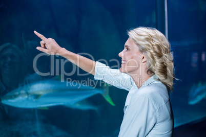 Pretty blonde pointing a fish tank