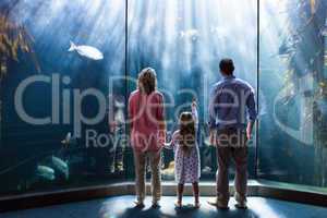 Young woman with her parents pointing a fish in the tank