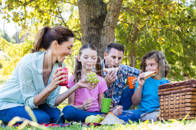 Happy family on a picnic in the park