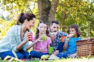 Happy family on a picnic in the park