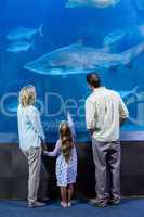 Happy family looking at the fish tank