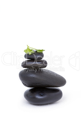 Tower of pebbles with branch of herb