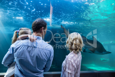 Familly looking at fish tank