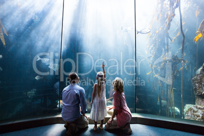 Daughter pointing a fish while her mother and father looking at