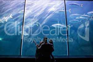 Happy family looking at the fish tank