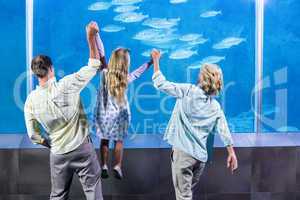 Happy family looking at the fish tank