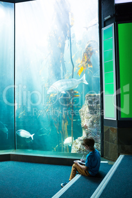 Young man drawing a fish in a tank