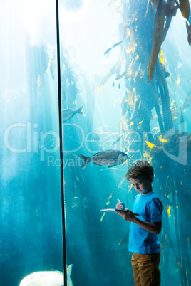 Young man drawing a fish in a tank