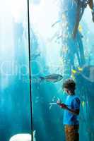 Young man drawing a fish in a tank