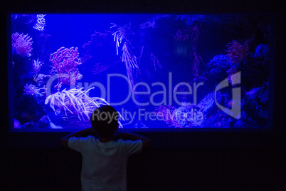 Young man looking at algae tank in a darkest room