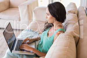 Pretty brunette using her laptop on the couch