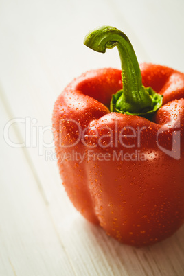 Red pepper with water drops