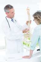 Doctor pointing anatomical spine