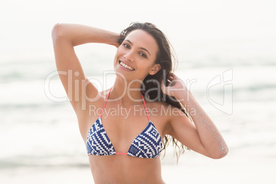 Smiling pretty brunette posing in bikini