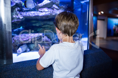 Young man looking at fish in a tank