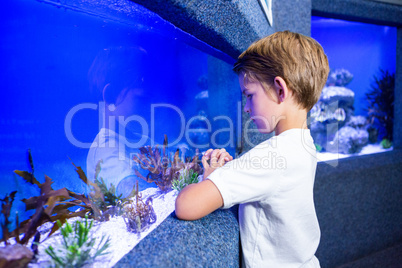 Young man looking at algae in a tank