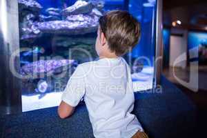 Young man looking at fish in a tank