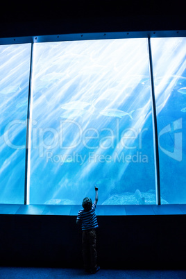 Young man pointing a fish in a giant aquarium