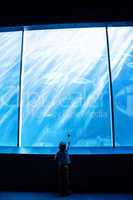 Young man pointing a fish in a giant aquarium