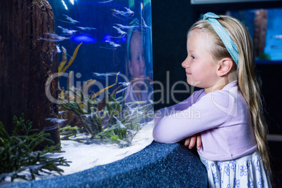 Happy young woman looking at fish