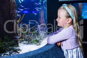 Happy young woman looking at fish